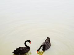 -中国农业博物馆