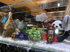 -红辣椒·川菜·火锅(大洋中心店)