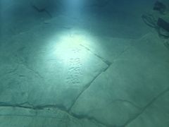 -白鹤梁水下博物馆