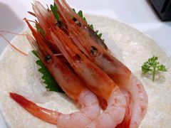 -元气寿司(金光华店)