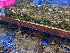 -四姑娘川味海鲜(八爪鱼店)
