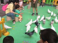 -深圳龙华星河COCO City(民治店)