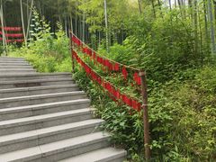 -东明山森林公园