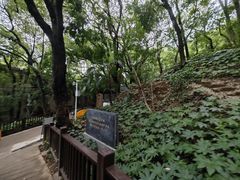 -马王堆汉墓遗址