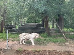-秦皇岛野生动物园