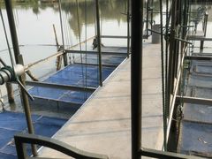 -水岸居湖景农家乐·阳澄湖大闸蟹