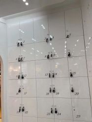 -东方麒麟·潘多拉SALON