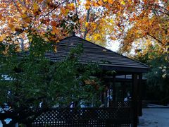 -春晖园度假酒店温泉