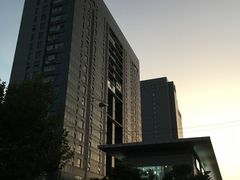 -上海浦东康桥绿地假日酒店