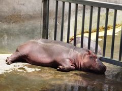 -西安秦岭野生动物园