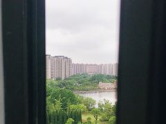 -新江湾城公园