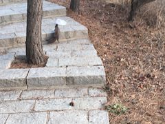 -大连金石滩滨海国家地质公园