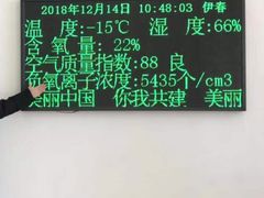 -鑫诚筋饼王(红旗小区店)