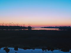 -三乐海鲜水饺馆