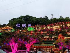 -枇杷园食为鲜火锅(南山店)