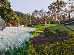 -云溪植物园
