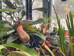 -国家植物园南园