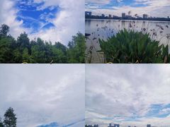-海珠湖公园