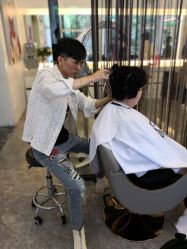短发-SALON TV x ILCOLPO