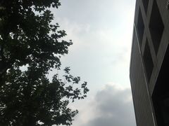 -功德林(南京西路店)