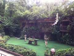 -新加坡飞禽公园