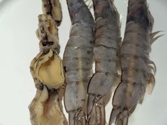 南美白虾-周师兄大刀腰片火锅(洪崖洞旗舰店)