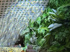 -丽晶大班SPA(大沽店)