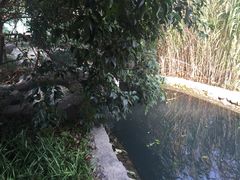 -活水公园