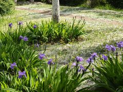 -济南国际园博园