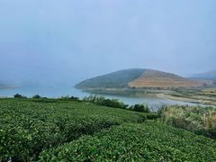 -嵛山岛