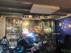 -MDZ STORE·TATTOO·耳饰
