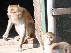 -南京金牛湖风景区
