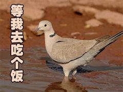 -小米之家(东方宝泰购物中心店)