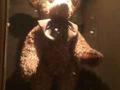 -济州岛泰迪熊博物馆