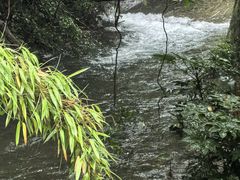 -黄公望隐居地