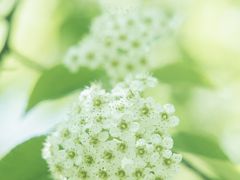 -龙苍沟森林公园