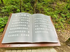 -茅兰沟国家森林公园