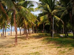 -三亚湾海居铂尔曼度假酒店