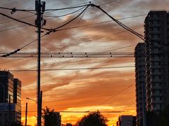 -新疆大厦·慕士塔格餐厅