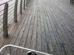 景点-滆湖低碳生态公园