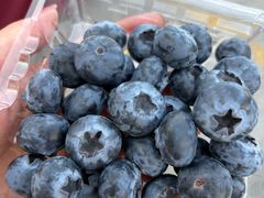 -大润发(东关世茂店)