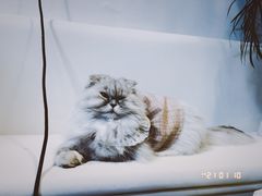 -小时光咖啡馆(北锣鼓巷店)
