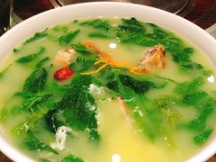 -石岐乳鸽村(南海第三分店)