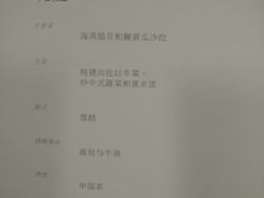 -新加坡航空公司(ION)