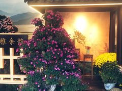 -杭州植物园