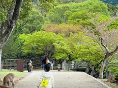 -奈良公园