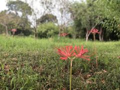 -贡湖湾湿地公园