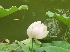 -君庭中餐厅(友谊宾馆店)