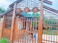 -东平国家森林公园