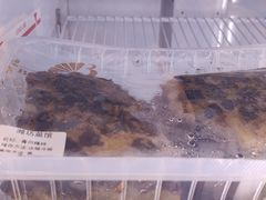 -潍坊菜馆(三里河南横街店)